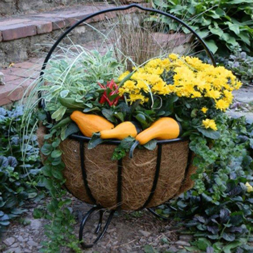 16 Inch Cauldron & Coco Fiber Liner Set 16 Inch Cauldron & Coco Fiber Liner Set