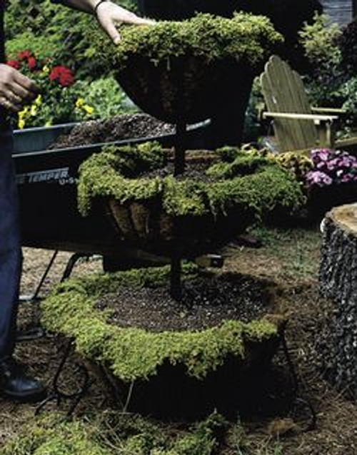 Floral Sheet Moss (1 1/2 Cubic Feet) Floral Sheet Moss (1 1/2 Cubic Feet)