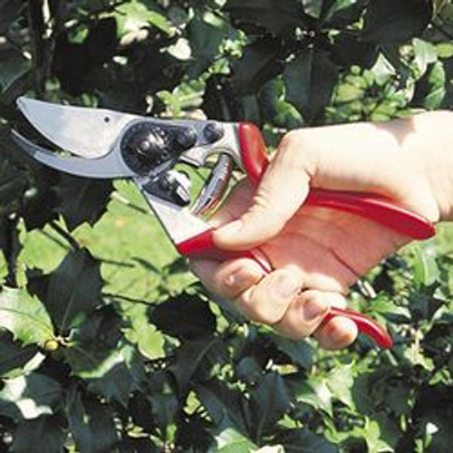 #6 Felco Pruner #6 Felco Pruner