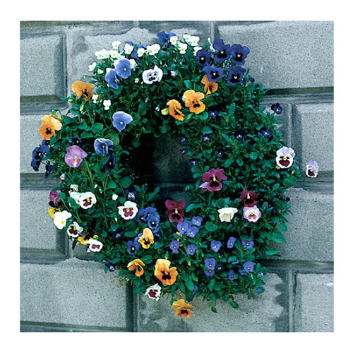 Small 16" Living Wreath Form (w/Jute Liner)