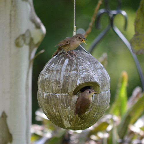 Green Nesting Ball for Wrens Birdhouse Green Nesting Ball for Wrens Birdhouse