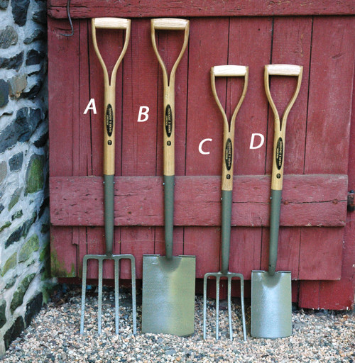 Border Fork (C) Border Fork (C)