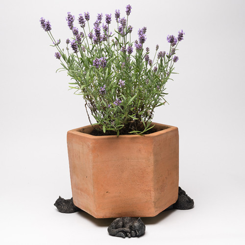 Antique Bronze Sleeping Cat Pot Feet (Set of 3) Antique Bronze Sleeping Cat Pot Feet (Set of 3)