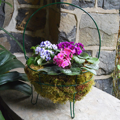 The Easter Bunny's Basket and Liner Set