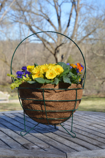 The Easter Bunny's Basket and Liner Set