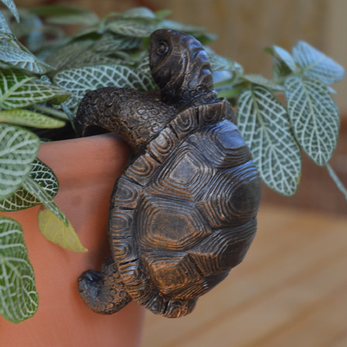 Tortoise Pot Buddy Tortoise Pot Buddy