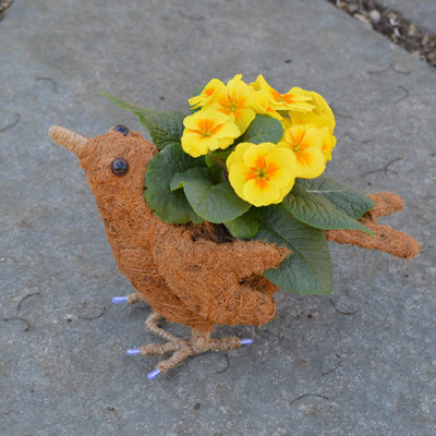Topiary Planter | Berrie the Bird Coco-Fiber Planter