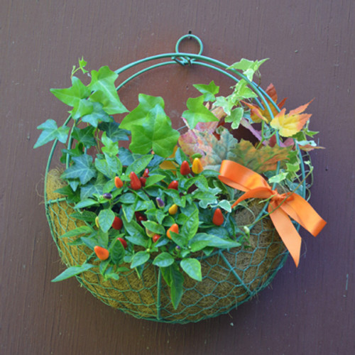14-inch Wreath Hanging Basket with Coco-fiber Liner 14-inch Wreath Hanging Basket with Coco-fiber Liner