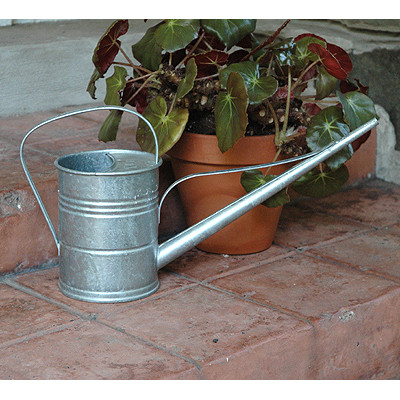 Mini Watering Cans