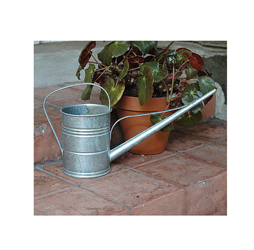 Mini Watering Cans