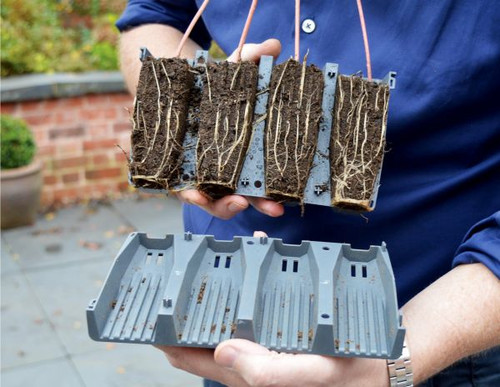 Deep Root Planting Cells (28 Cells) | Deep Seed Starter Tray | Kinsman
