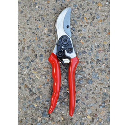 Conventional Pruner