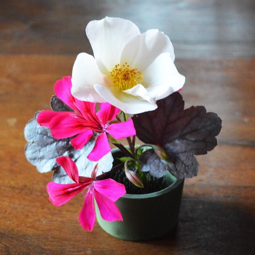 Special! Round Pin Cup