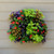 Set of Four Living Wall Planters w/ Liners (Each in Color Gift Box)