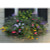 24 Inch Window Box Planter & Liner Set