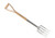 Stainless Border Fork