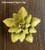 Life-like Ceramic Flowers