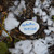 Forget-Me-Knot Plant Markers Forget-Me-Knot Plant Markers