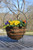 The Easter Bunny's Basket and Liner Set