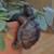 Tortoise Pot Buddy Tortoise Pot Buddy