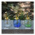 Blue Fine Mist Sprayer