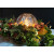 Globe Ice Lantern STARTER Kit (WCGIL120)