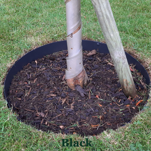 EverEdge Tree Rings | Long-Lasting Metal Tree Ring Solution