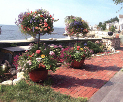 Basket Columns