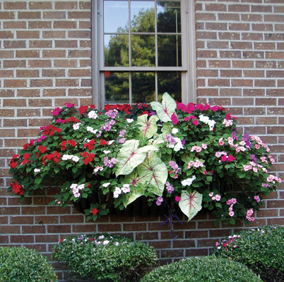 Classic Ironwork Planters