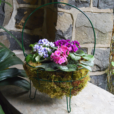 Wire Baskets