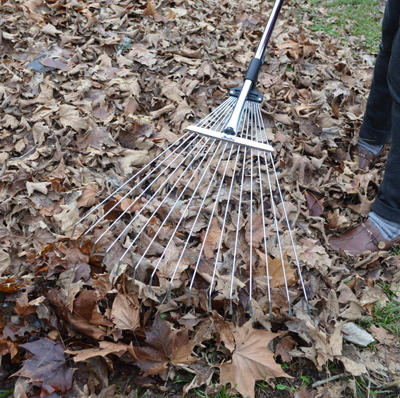 Rakes