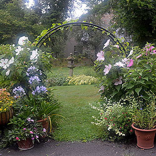 Arches & Arbors