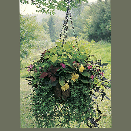 Very Large Baskets