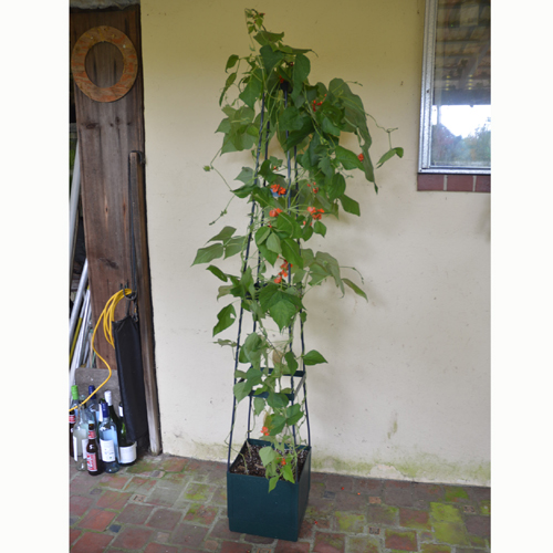 Plant Tower