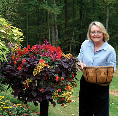 Pamela Crawford Planters