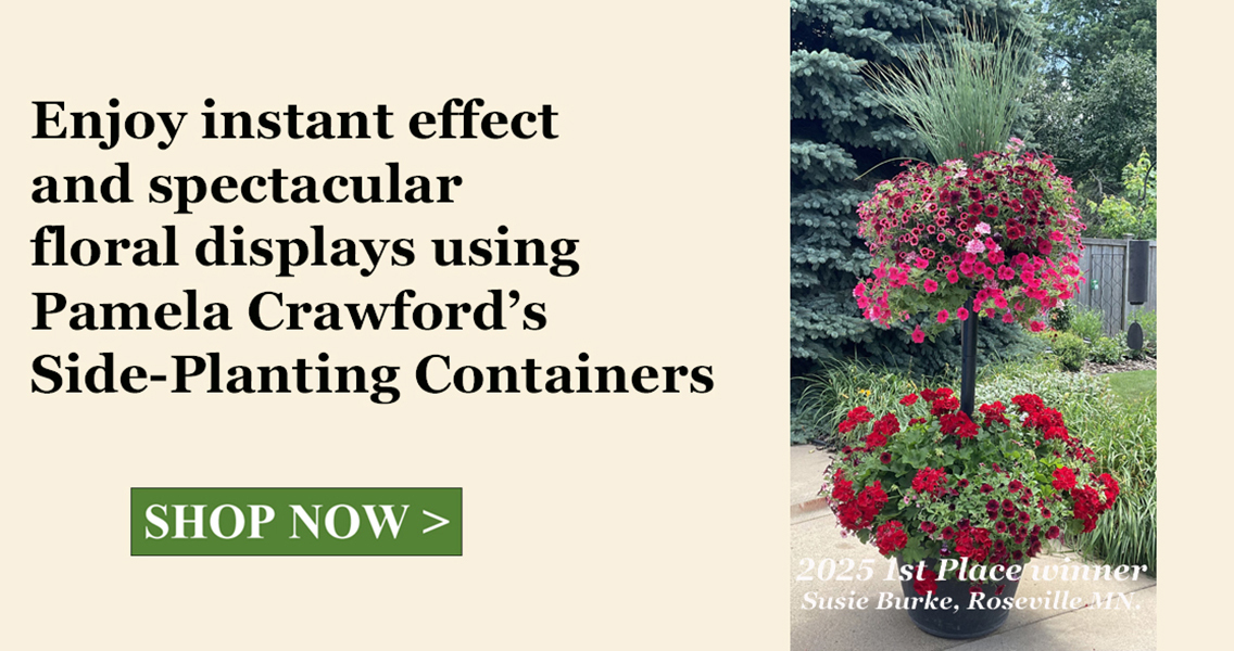 Slide Title Thumbnail