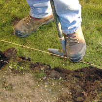 Lawn Edging - Step 1 - Get A Fresh Edge
