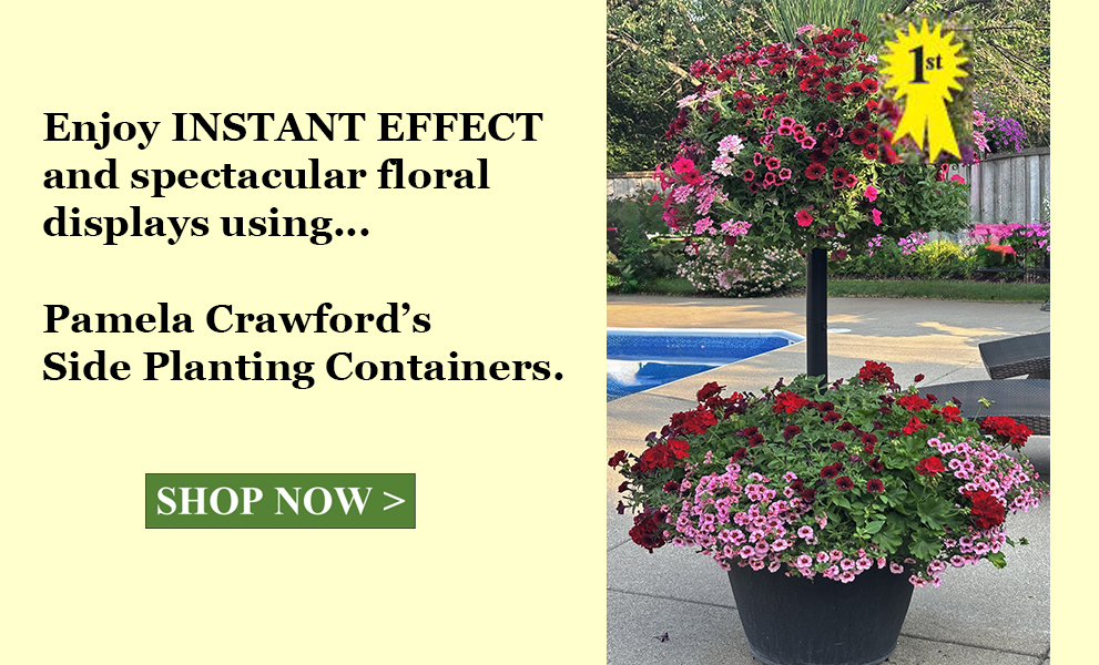 Slide Title Thumbnail