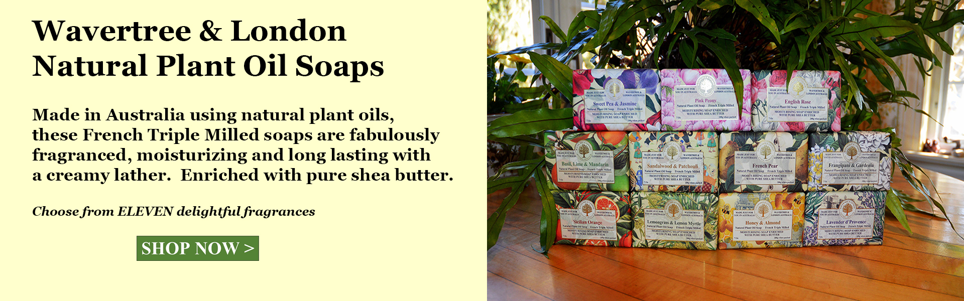 Slide Title Thumbnail