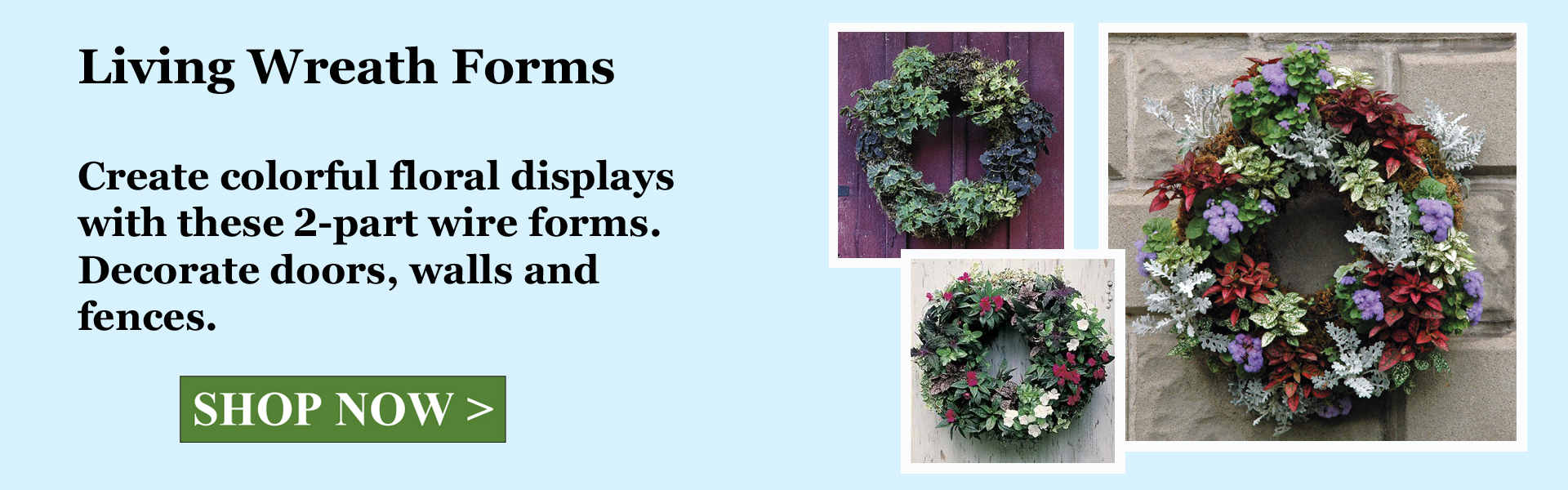 Slide Title Thumbnail