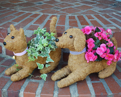 Garden Companions