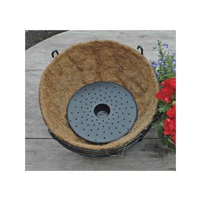Basket Well