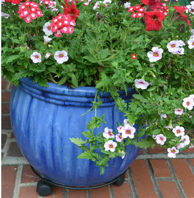 Plant Dollies