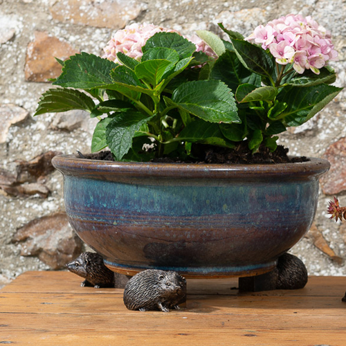 Potty Feet and Pot Buddies