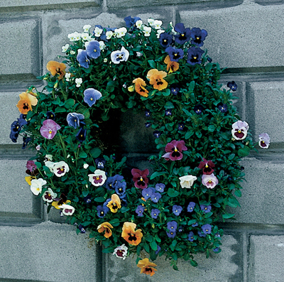 Living Wreaths