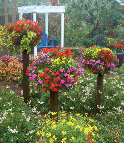 Border Columns