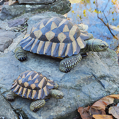 Garden Art