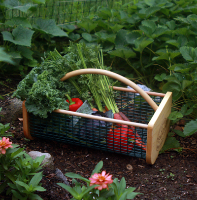 Trugs and Baskets