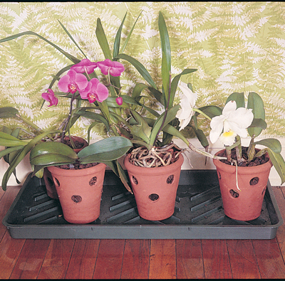 Boot & Plant Trays