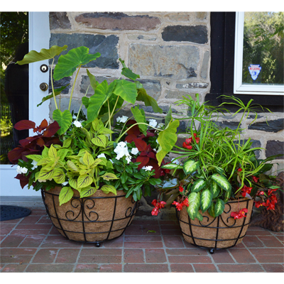 Patio Planters
